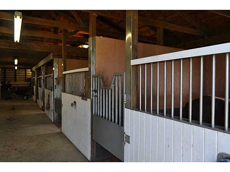 326 Jones Road Cabot, PA 16023 - Photo 12 of 25 Stable/Barn.