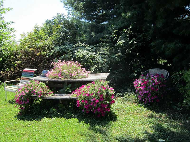 326 Jones Road Cabot, PA 16023 - Photo 21 of 25 Yard/Garden.