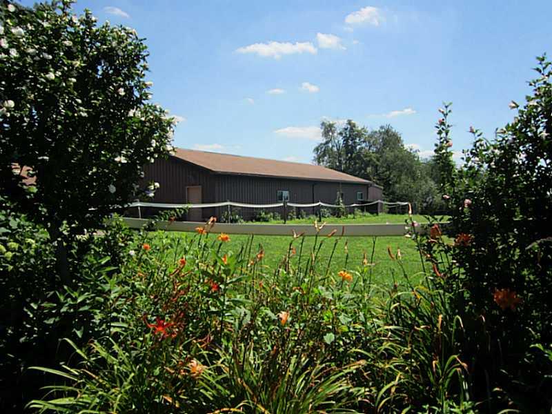 326 Jones Road Cabot, PA 16023 - Photo 23 of 25 Yard/Garden.