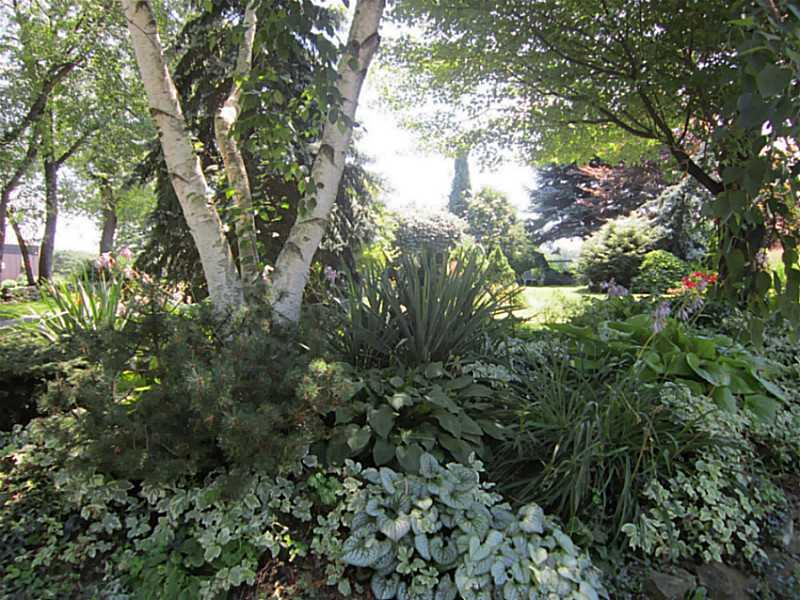 326 Jones Road Cabot, PA 16023 - Photo 25 of 25 Yard/Garden.