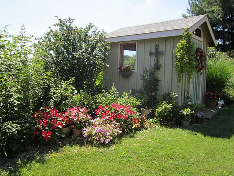 326 Jones Road Cabot, PA 16023 - Photo 6 of 25 Yard/Garden.