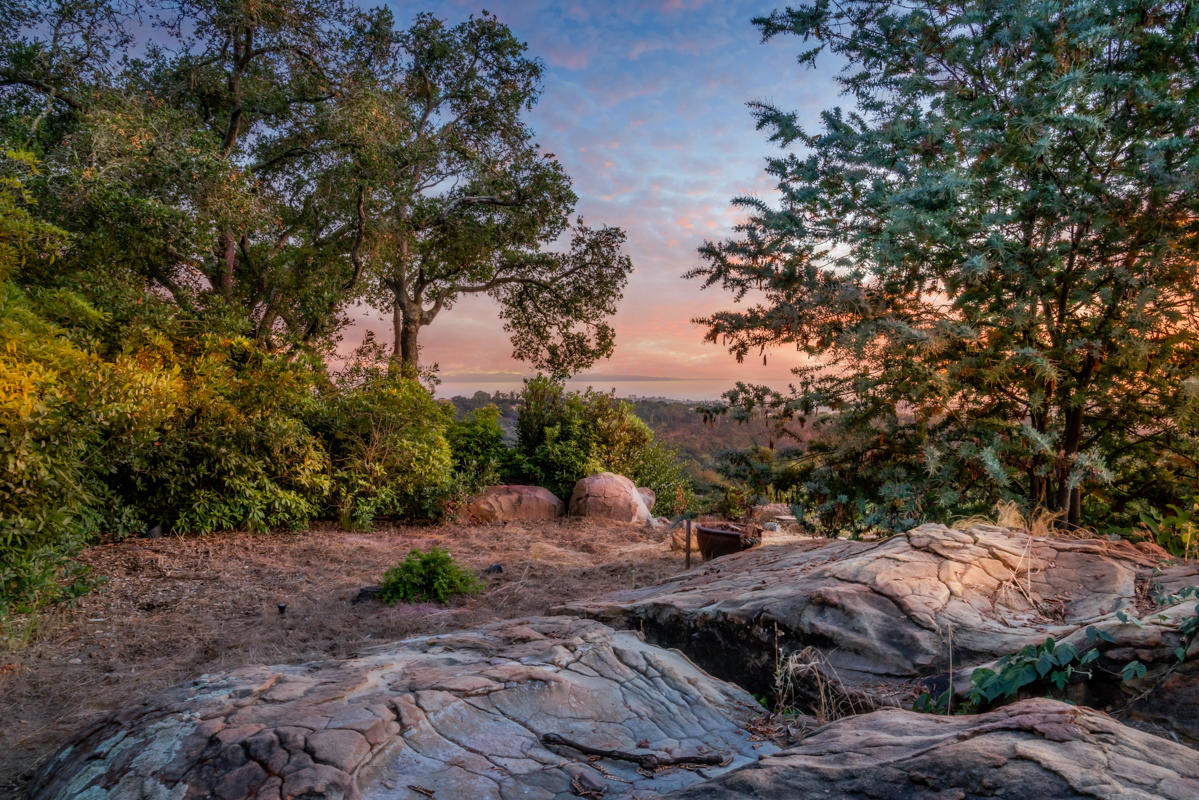 Mature Landscape