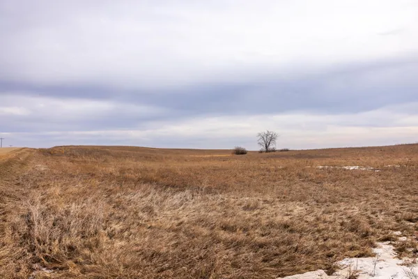 $1 | 18 St Nw Parcel 4 Turtle Lake, Turtle Lake, ND 58575