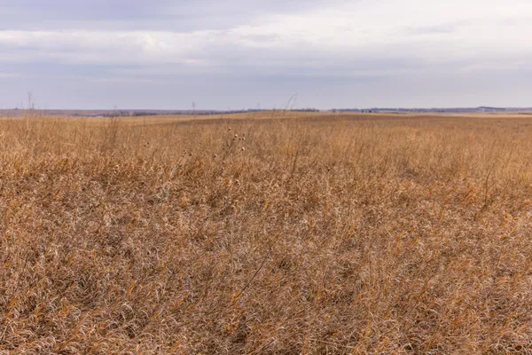 $1 | 18 St Nw Parcel 4 Turtle Lake, Turtle Lake, ND 58575