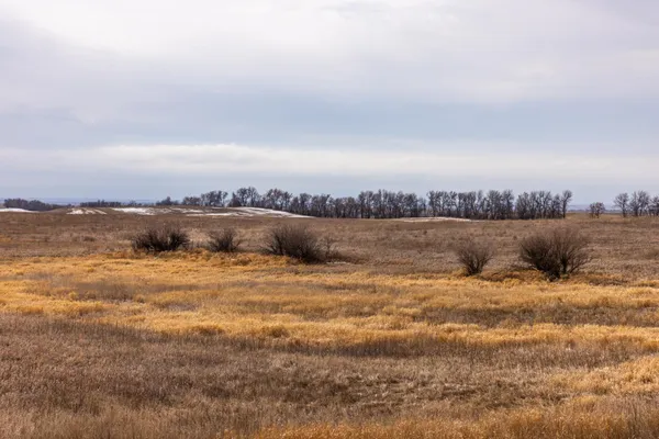 $1 | 18 St Nw Parcel 4 Turtle Lake, Turtle Lake, ND 58575