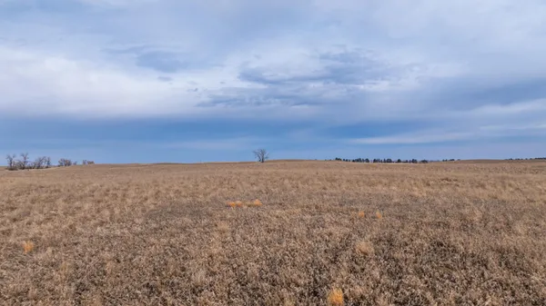 $1 | 18 St Nw Parcel 4 Turtle Lake, Turtle Lake, ND 58575