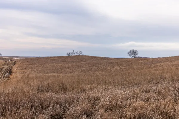 $1 | 18 St Nw Parcel 4 Turtle Lake, Turtle Lake, ND 58575