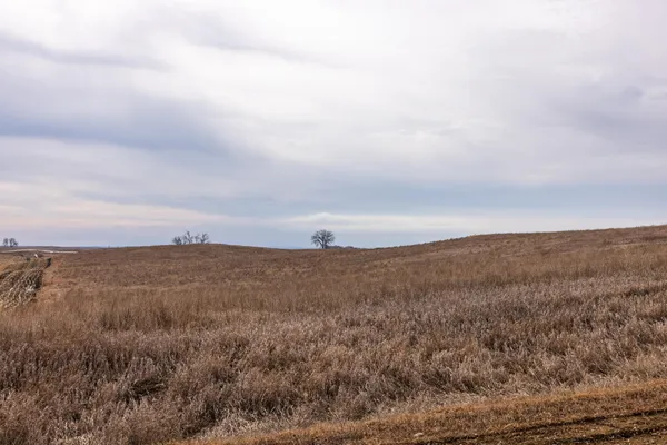 $1 | 18 St Nw Parcel 4 Turtle Lake, Turtle Lake, ND 58575