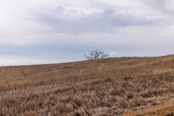 $1 | 18 St Nw Parcel 4 Turtle Lake, Turtle Lake, ND 58575