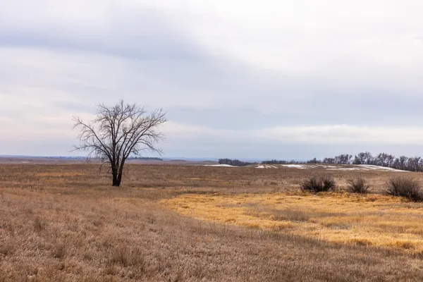 $1 | 18 St Nw Parcel 4 Turtle Lake, Turtle Lake, ND 58575