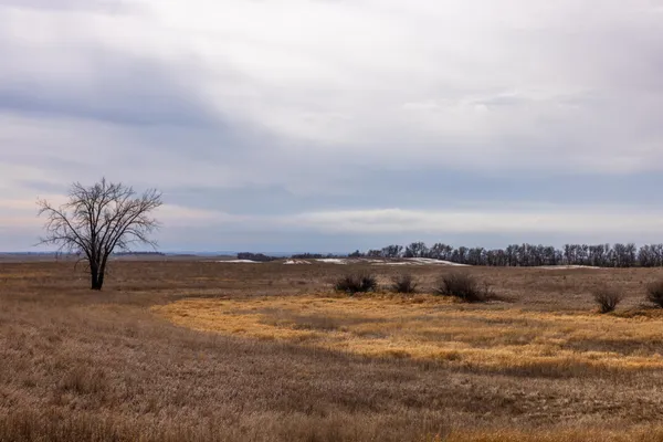 $1 | 18 St Nw Parcel 4 Turtle Lake, Turtle Lake, ND 58575