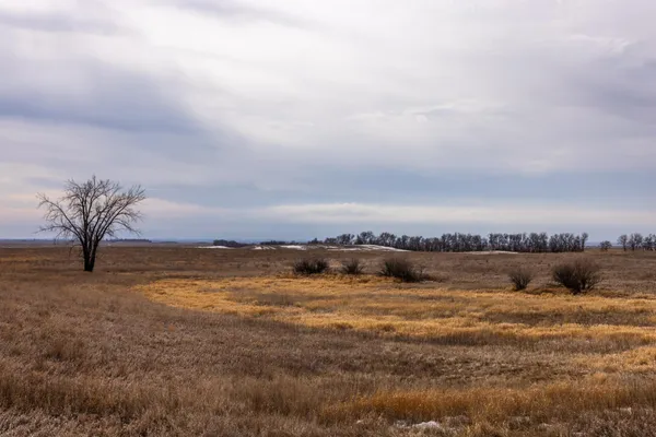 $1 | 18 St Nw Parcel 4 Turtle Lake, Turtle Lake, ND 58575