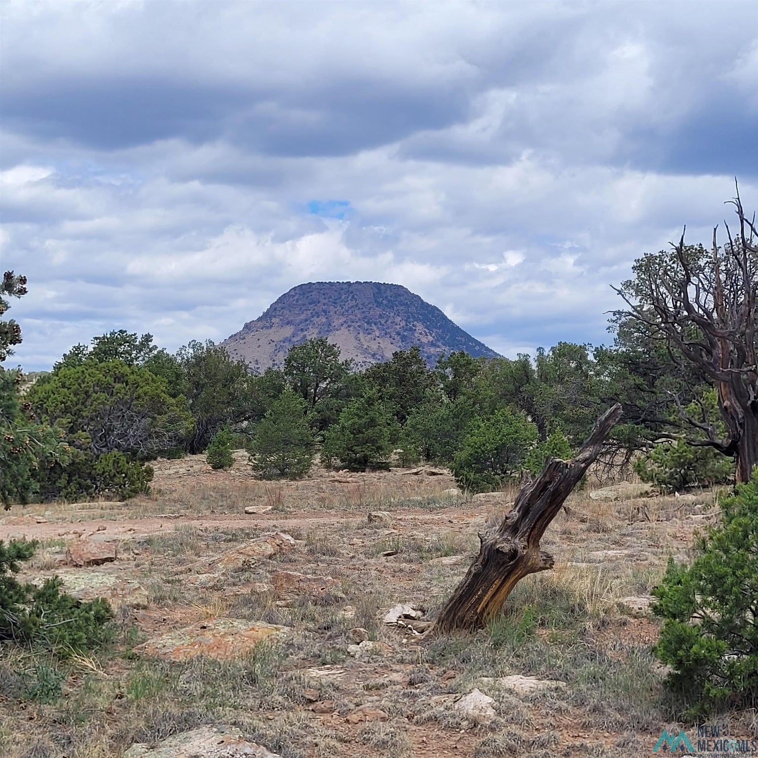 0 Lookout Loop, Unit 89 Datil, NM 87821 - Photo 19 of 38 Gallery Image 19
