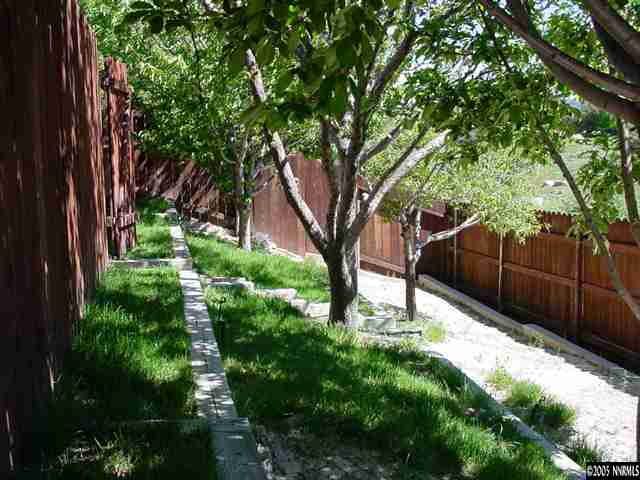 5950 Bankside Way Reno, NV 89523 - Photo 5 of 6 a view of backyard with tree