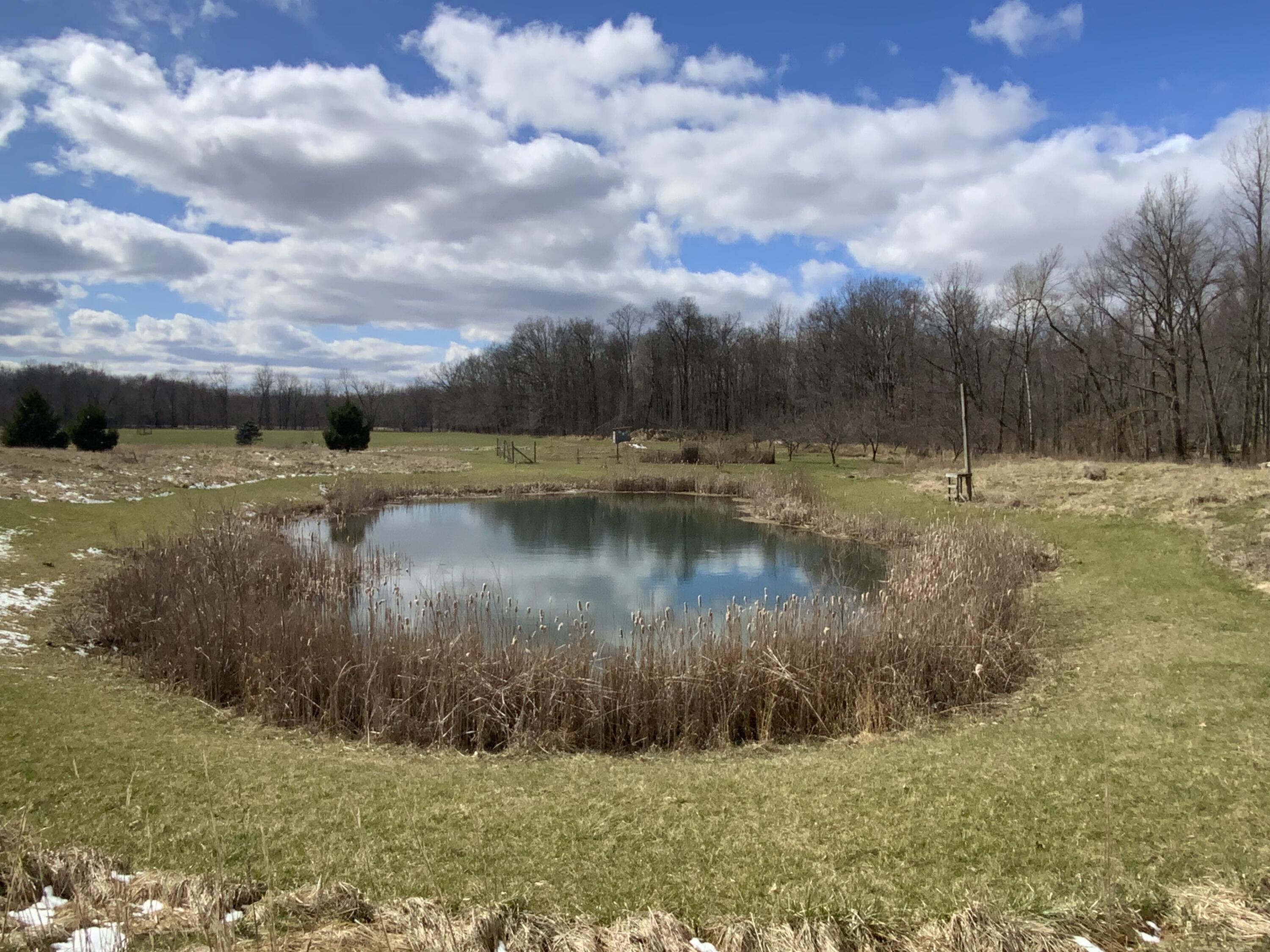 4146 North Dearing Road Parma, MI 49269 - Photo 18 of 25 IMG_0588