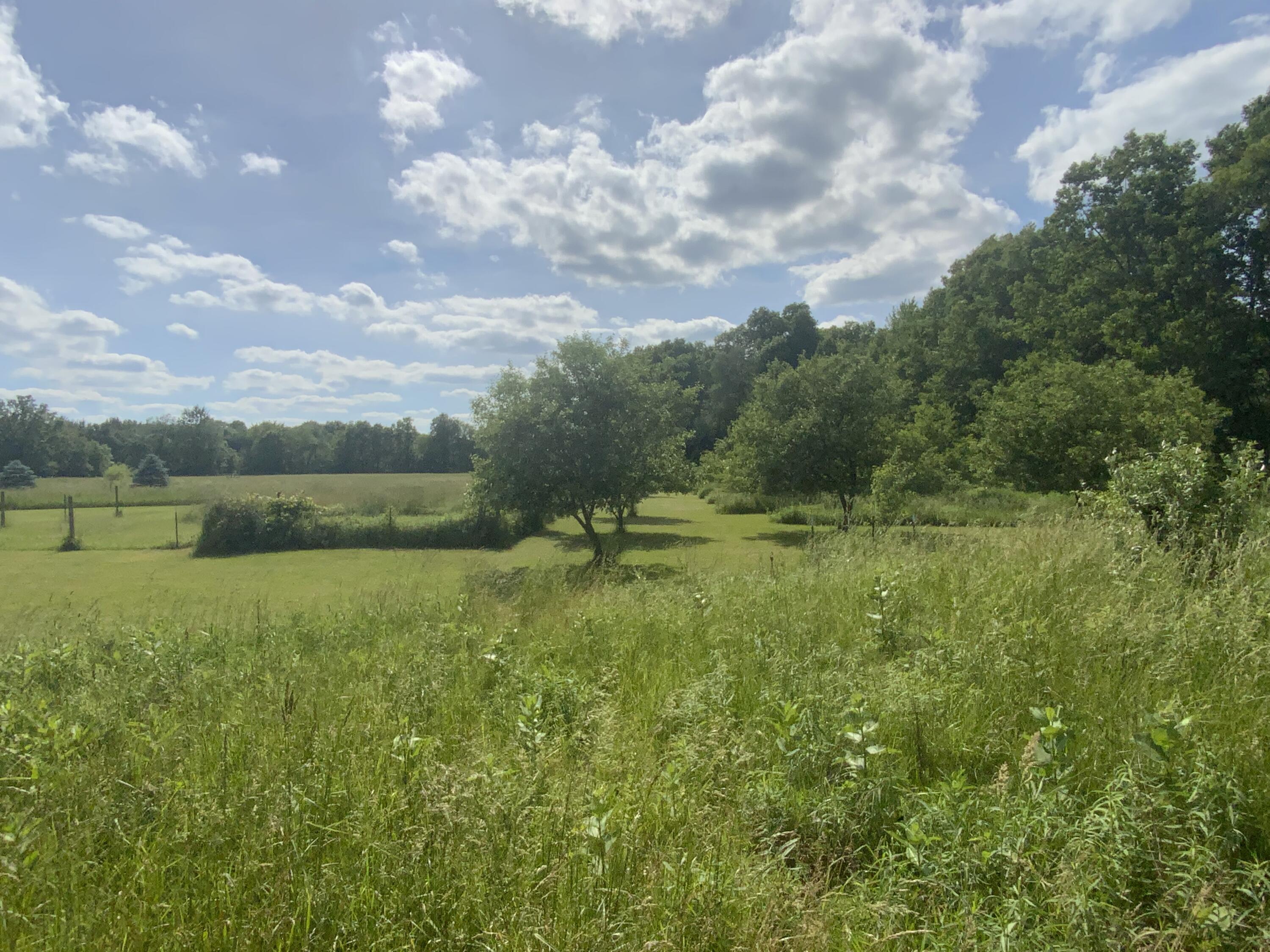 4146 North Dearing Road Parma, MI 49269 - Photo 20 of 25 IMG_0617