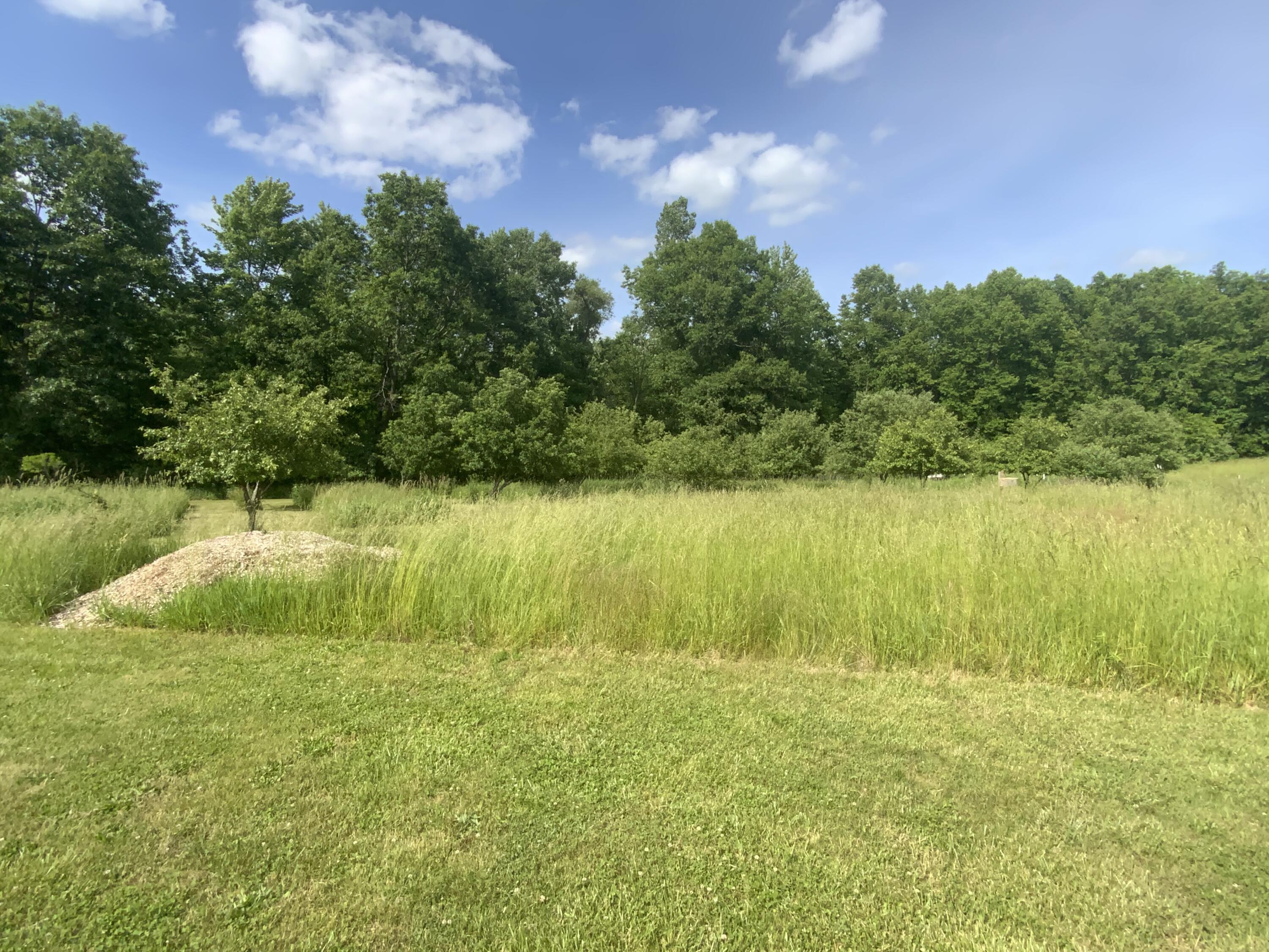 4146 North Dearing Road Parma, MI 49269 - Photo 22 of 25 IMG_0621