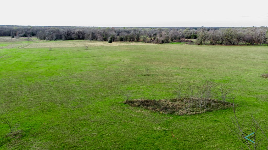 0 Fm 59 Athens, TX 75751 - Photo 10 of 11