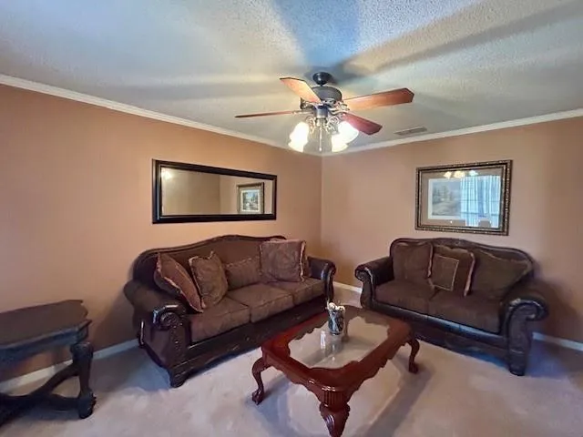 a living room with furniture a rug and a window