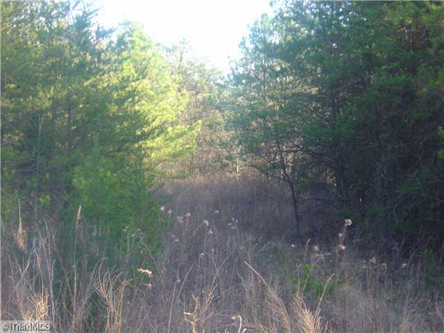 129 Raleigh Road Madison, NC 27025 - Photo 4 of 16 Other.