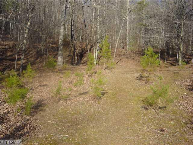 129 Raleigh Road Madison, NC 27025 - Photo 10 of 16 Other.