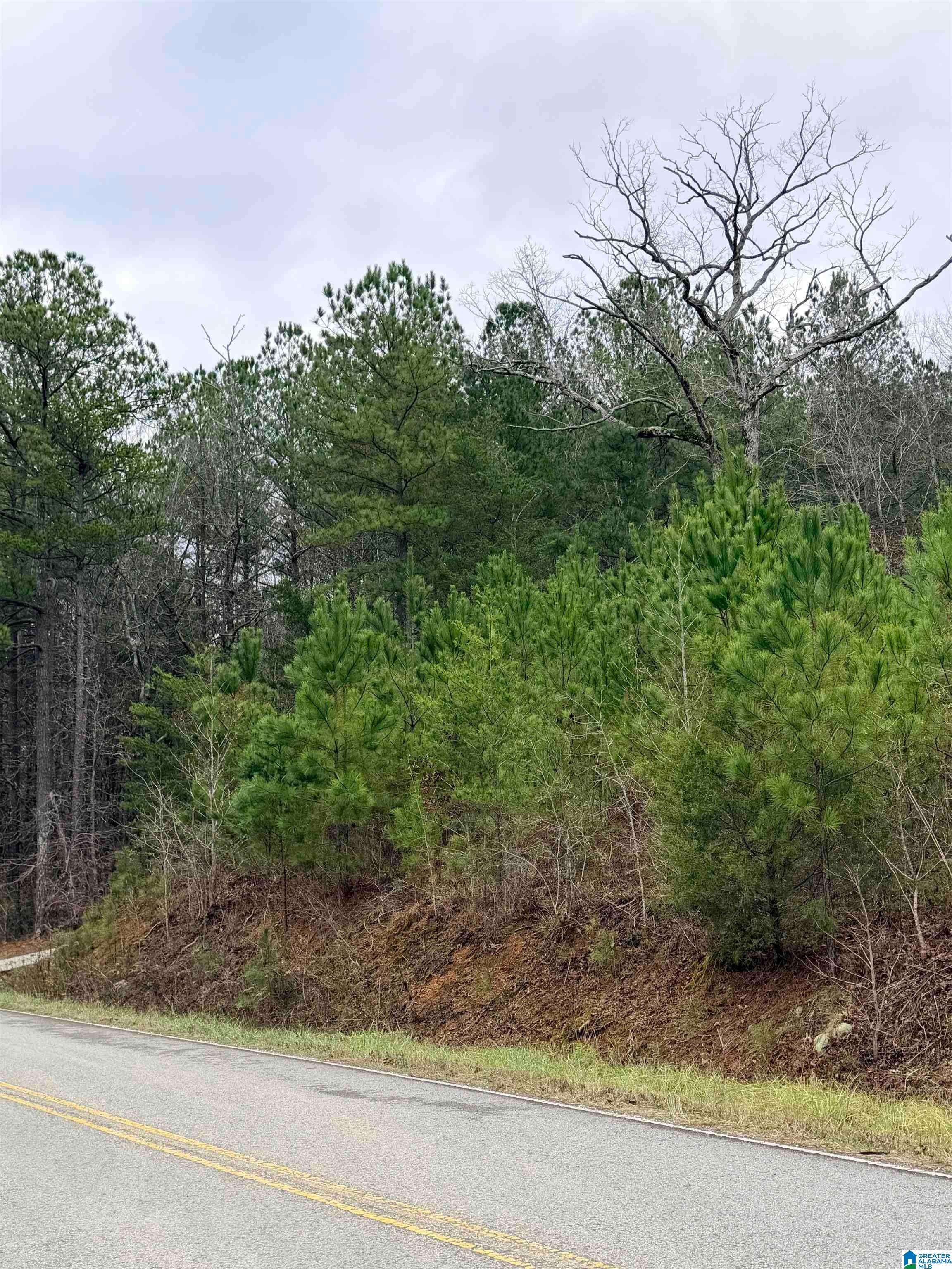 Armstrong Loop Road Hayden, AL 35079 - Photo 2 of 3