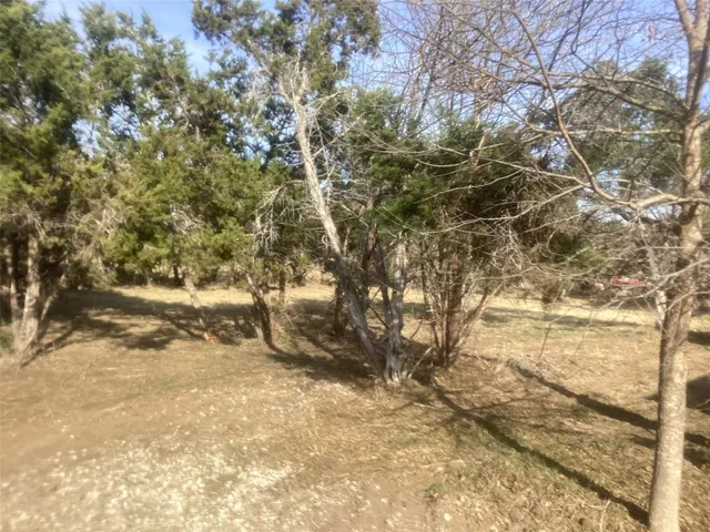a view of tree next to a yard