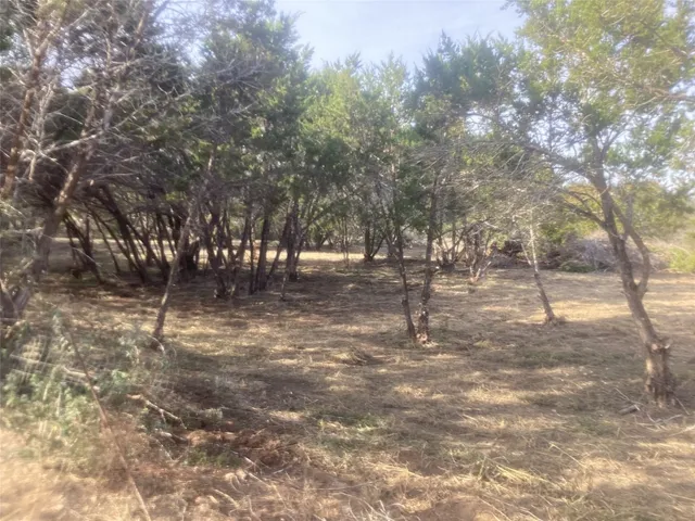 a view of outdoor space with trees