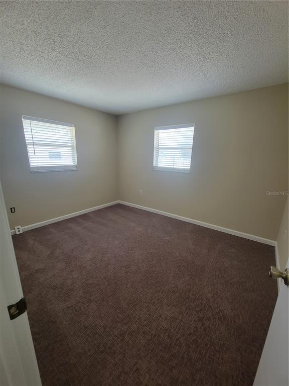 9022 Lingrove Road Weeki Wachee, FL 34613 - Photo 24 of 50