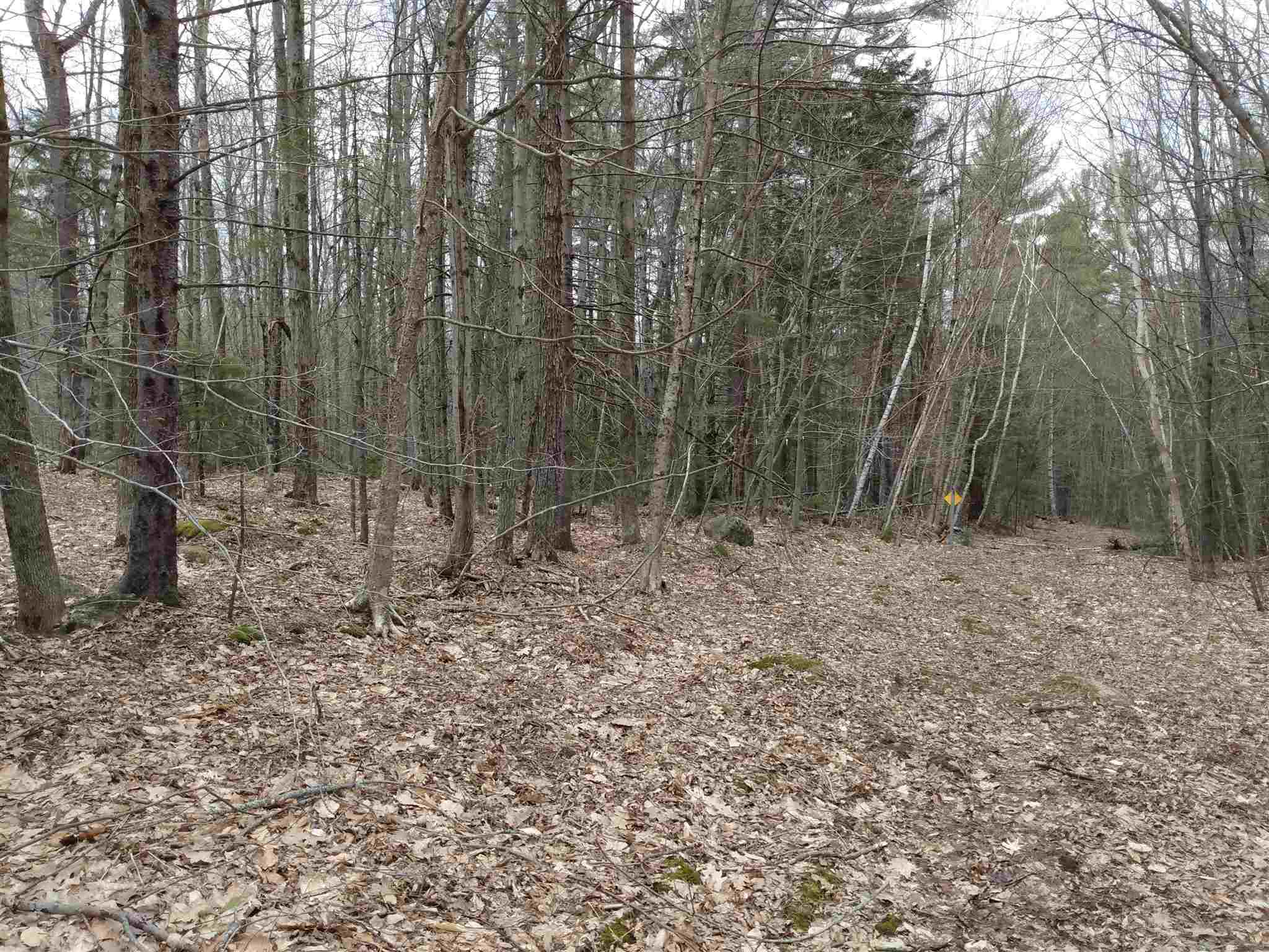 0 Shedd Hill Road Stoddard, NH 03464 - Photo 1 of 10