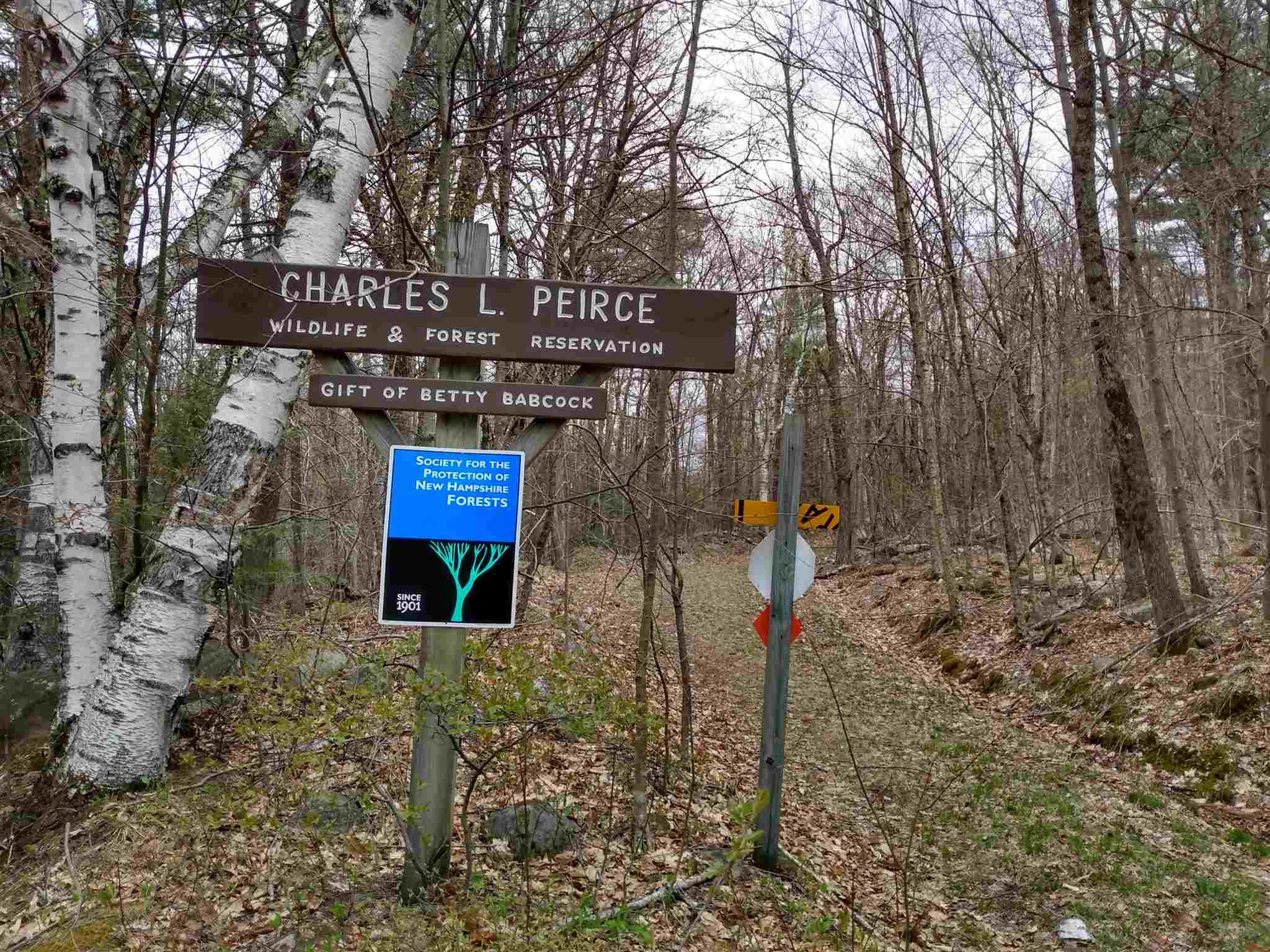 0 Shedd Hill Road Stoddard, NH 03464 - Photo 10 of 10