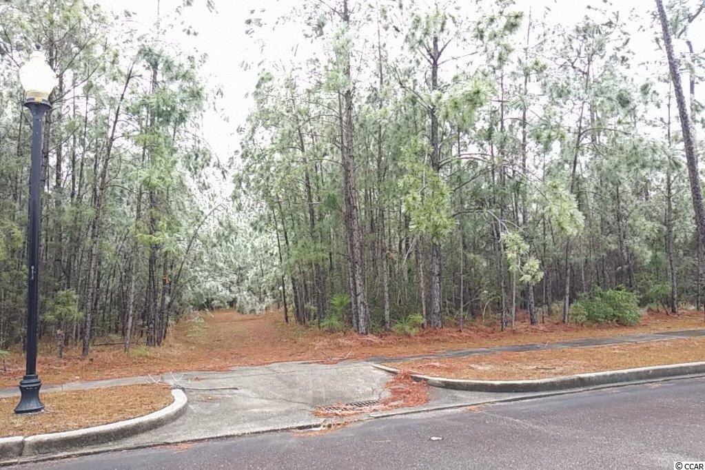 143 Bridge View Road Georgetown, SC 29440 - Photo 1 of 22 Gallery Image 1