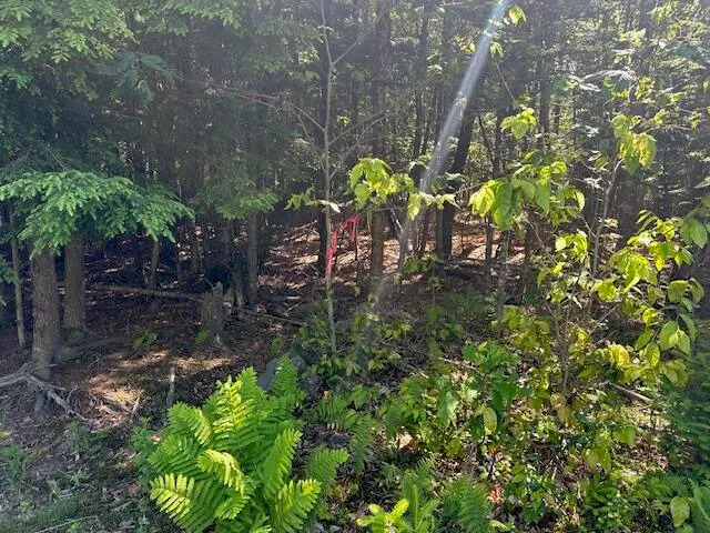 $60,000 | Lot #8 Bonnie Way, Winterport, ME 04496