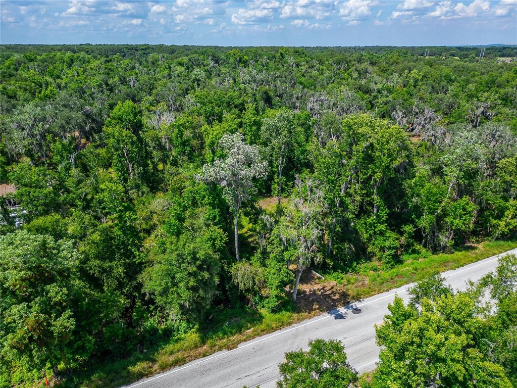 672 Highway Lithia Lithia, FL 33547 - Photo 5 of 24