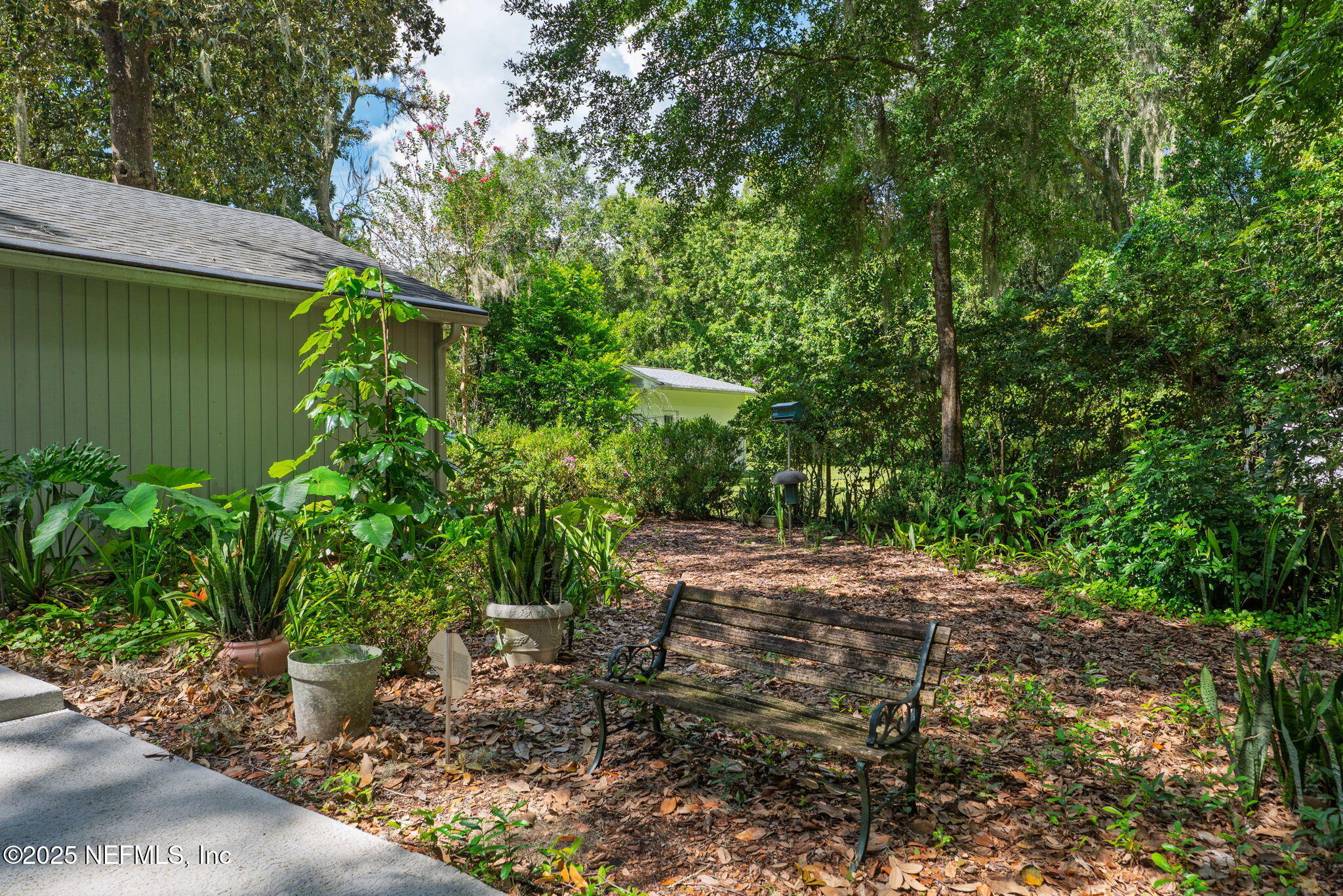 3007 Holly Road Orange Park, FL 32065 - Photo 36 of 44 a backyard of a house with lots of green space