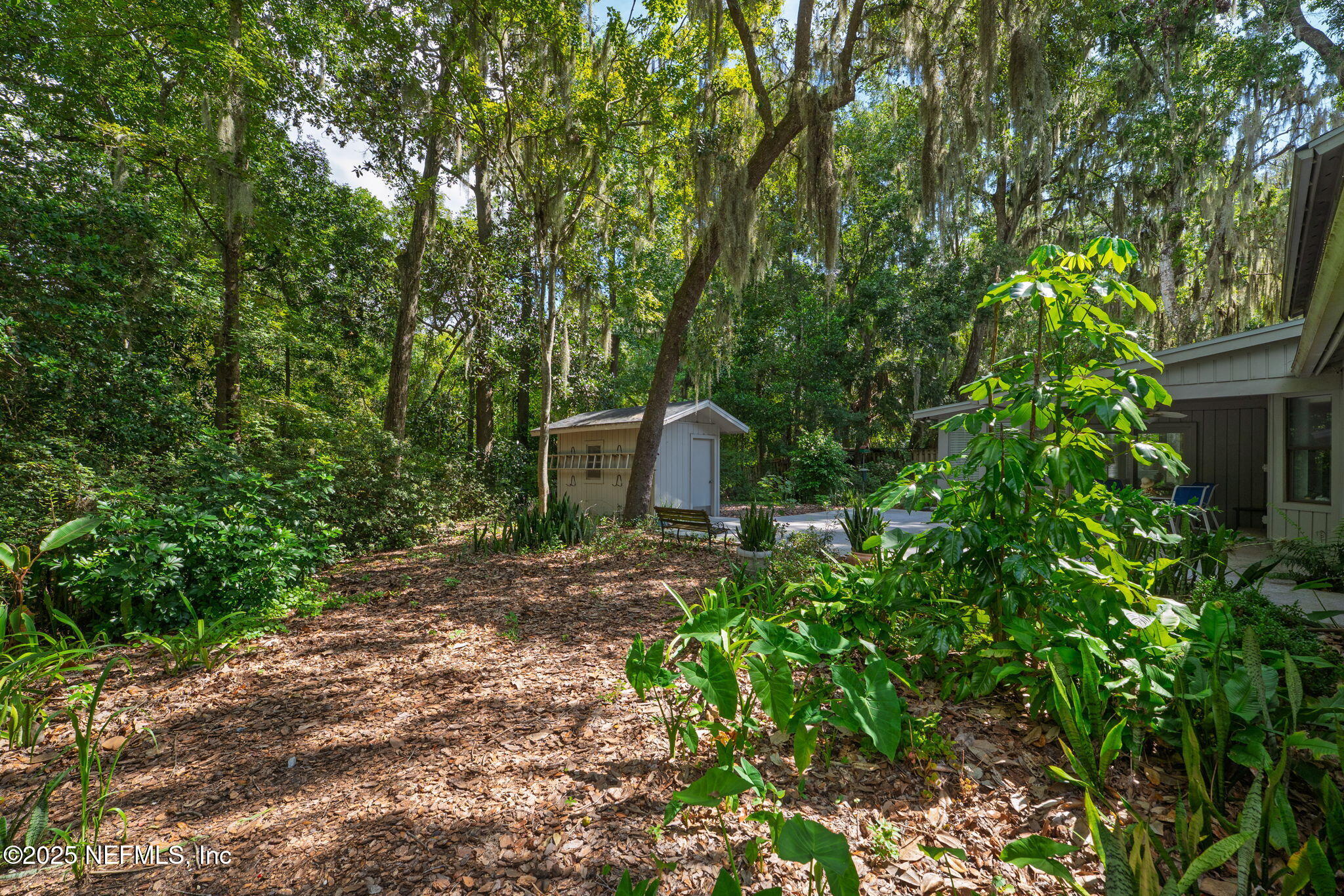 3007 Holly Road Orange Park, FL 32065 - Photo 37 of 44 a backyard of a house with lots of green space