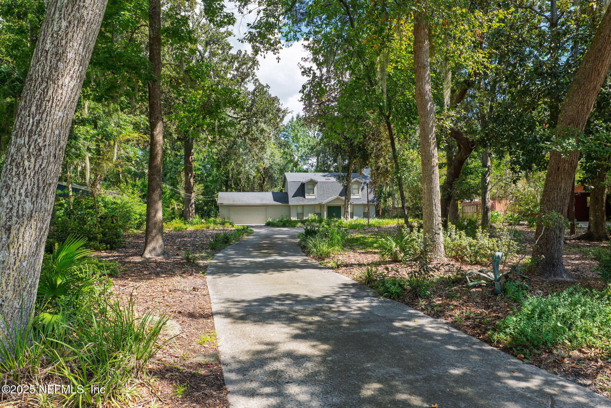 3007 Holly Road Orange Park, FL 32065 - Photo 41 of 44 a view of a park with large trees