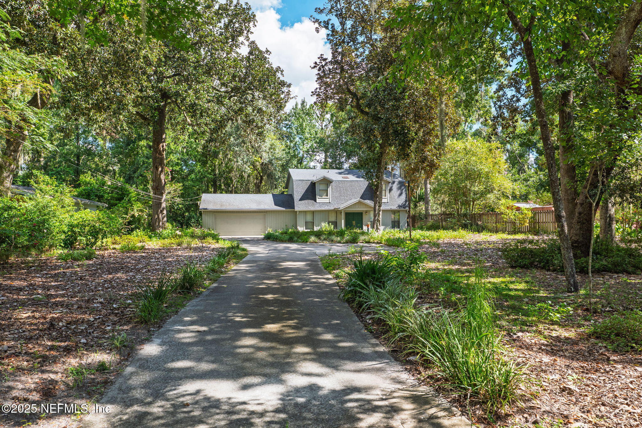 3007 Holly Road Orange Park, FL 32065 - Photo 42 of 44 a front view of a house with a yard and a large tree