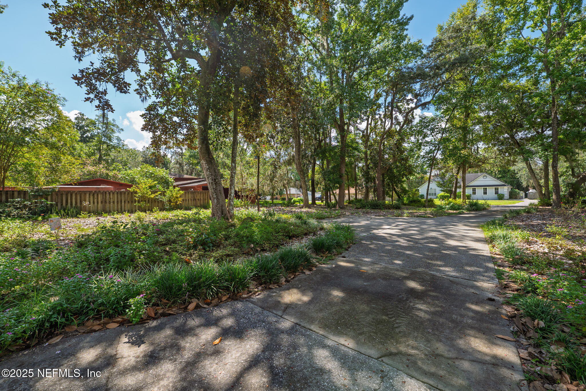 3007 Holly Road Orange Park, FL 32065 - Photo 44 of 44 a view of park with large trees