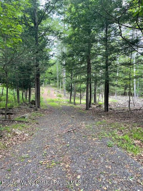 Driveway Into Property
