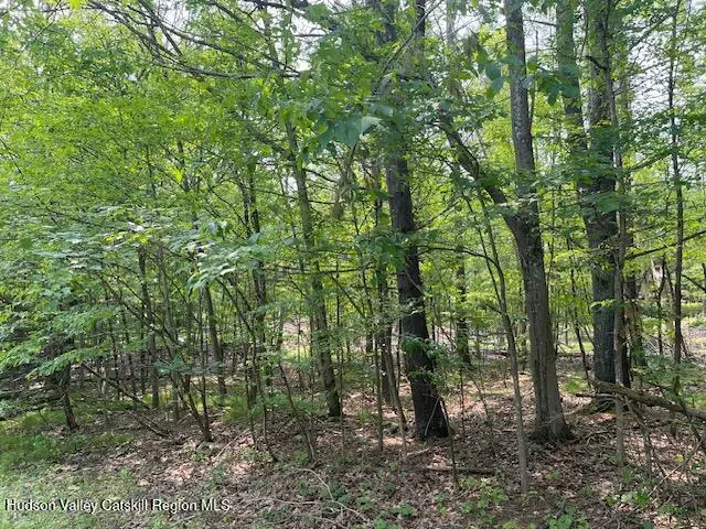 $85,000 | 145 Frank Hitchcock Road, Cairo, NY 12413