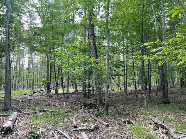 145 Frank Hitchcock Road Cairo, NY 12413 - Photo 4 of 4 Sunlit Private Building Site