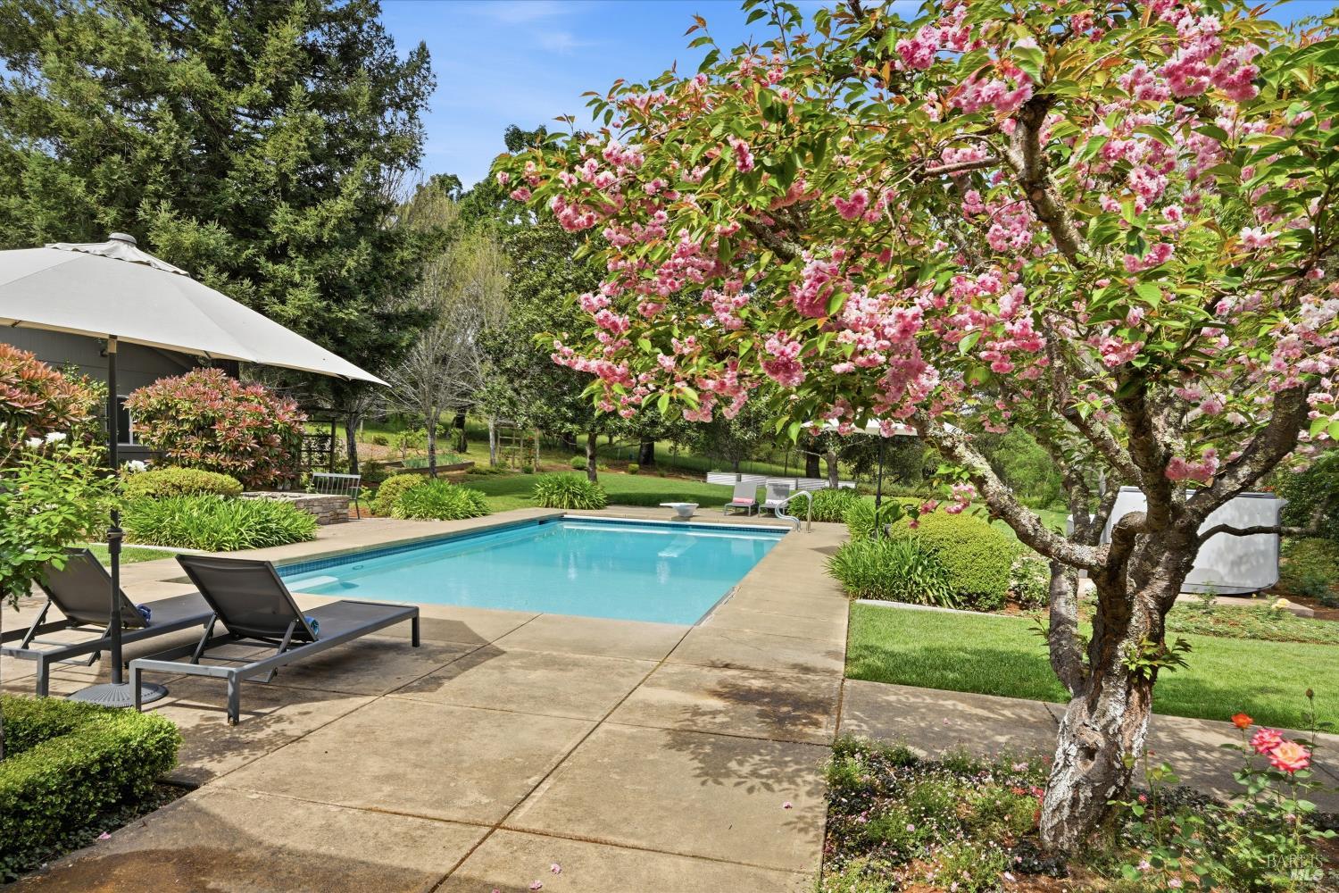 1541 Chablis Road Healdsburg, CA 95448 - Photo 3 of 68