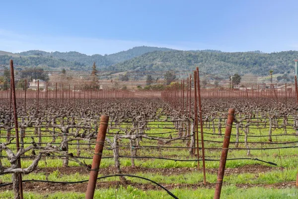 $1,875,000 | 1076 Orchard Avenue, Napa, CA 94558