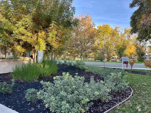 $1,099,000 | 372-372 South Caballo Street, Mountain House, CA 95391