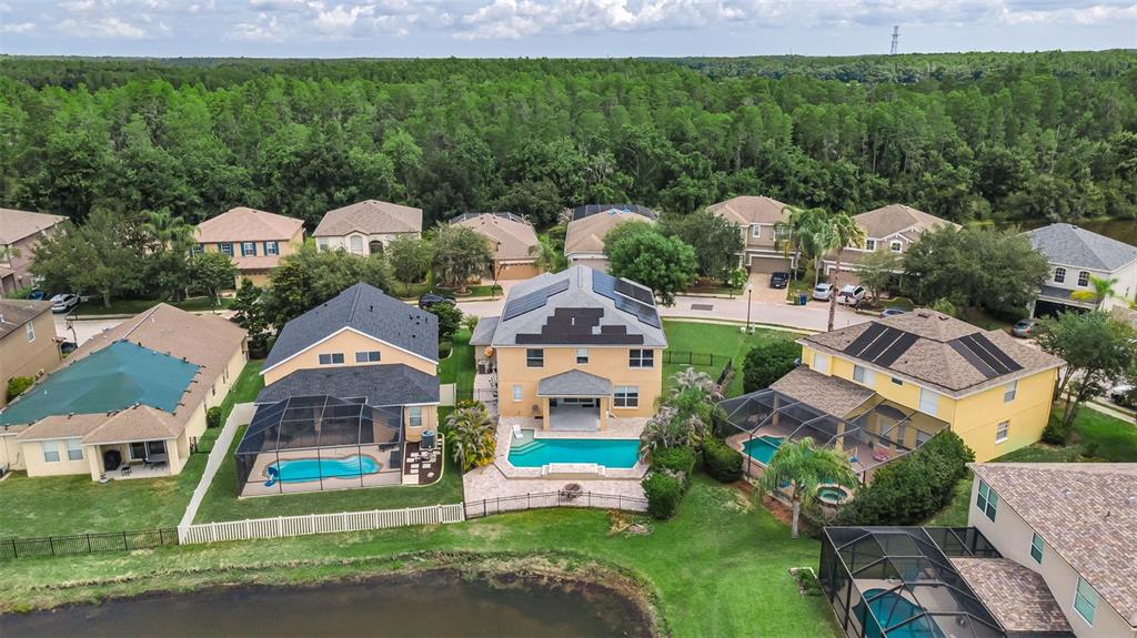 1345 Halapa Way Trinity, FL 34655 - Photo 69 of 93