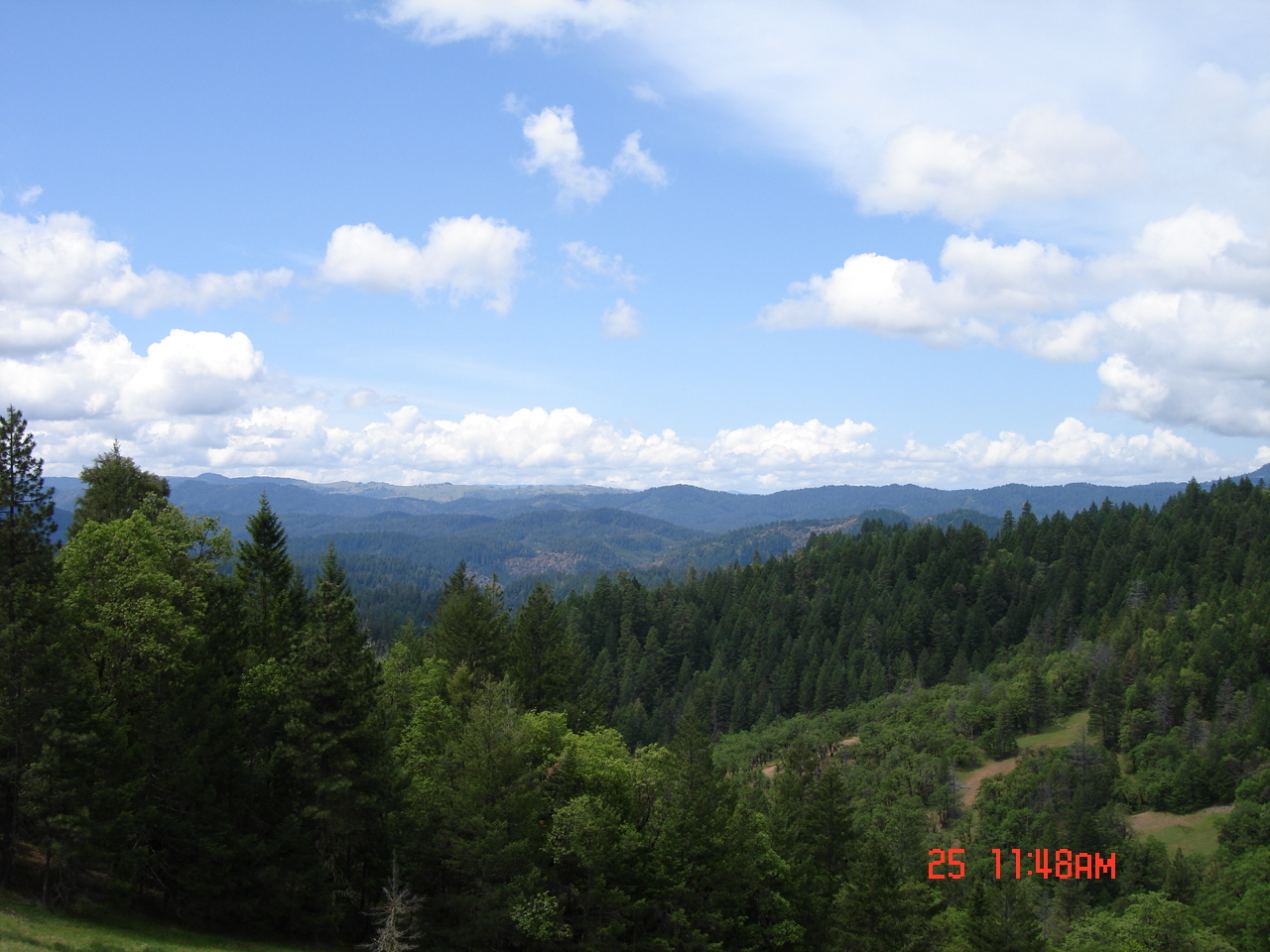 Rattlesnake Road Hayfork, CA 96041 - Photo 2 of 10 Area
