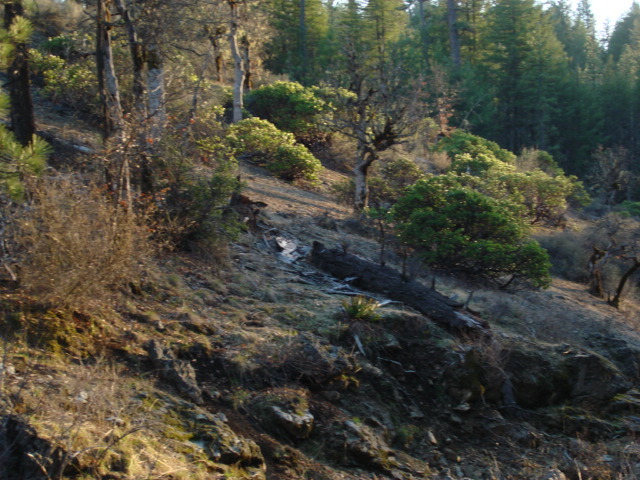 Rattlesnake Road Hayfork, CA 96041 - Photo 6 of 10 5