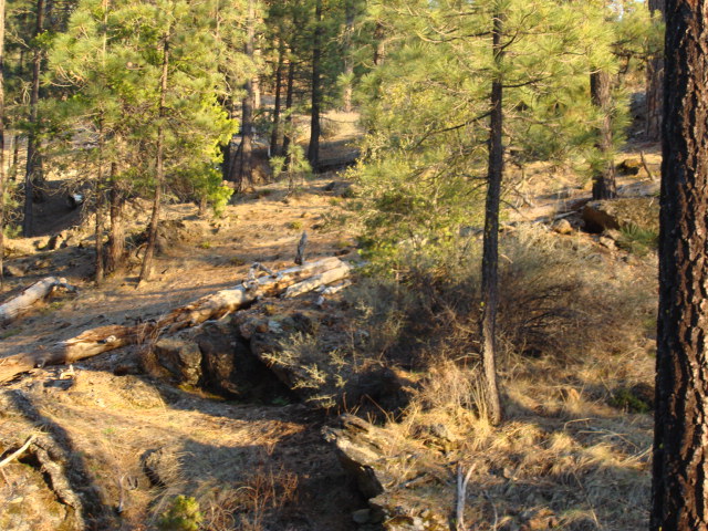 Rattlesnake Road Hayfork, CA 96041 - Photo 8 of 10 7