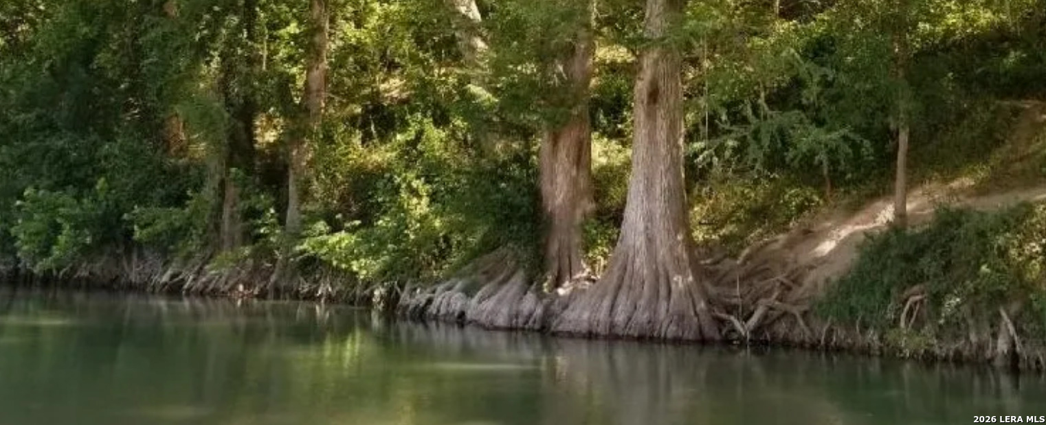 7511 Old Spring Branch Road Spring Branch, TX 78070 - Photo 2 of 5